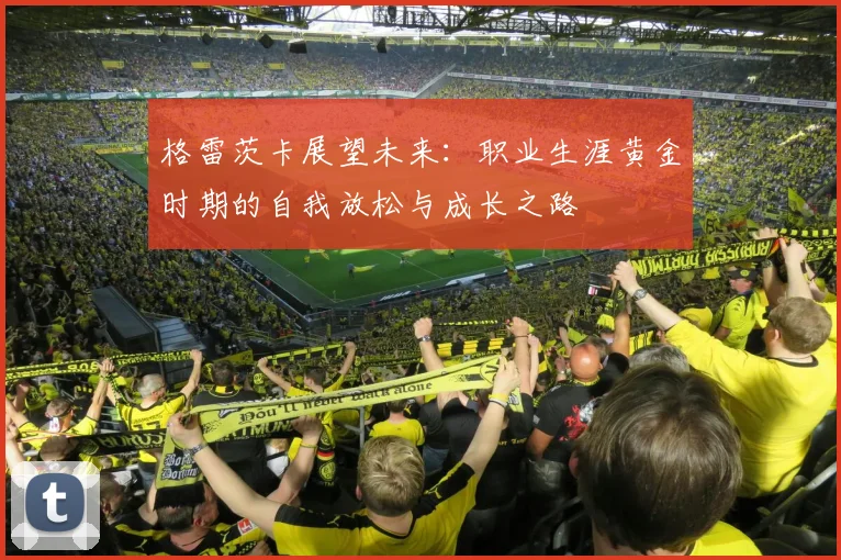 格雷茨卡展望未来：职业生涯黄金时期的自我放松与成长之路