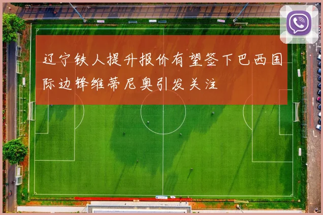 辽宁铁人提升报价有望签下巴西国际边锋维蒂尼奥引发关注