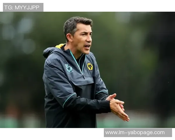 拉尔森渴望继续征战英超狼队开价4000万镑寻求转会 拉尔森渴望继续征战英超狼队开价4000万镑寻求转会