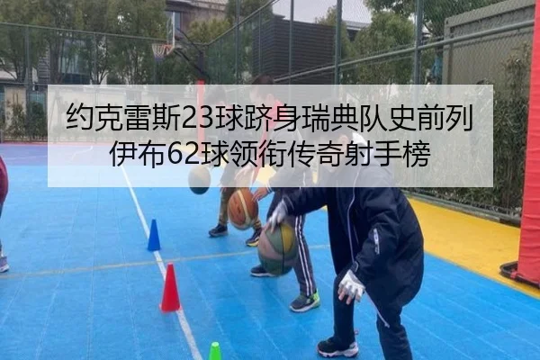 约克雷斯23球跻身瑞典队史前列 伊布62球领衔传奇射手榜 | Yabo